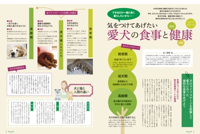 pet_2017_P4_5.jpg